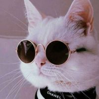 Profile picture of Зберігач книжок